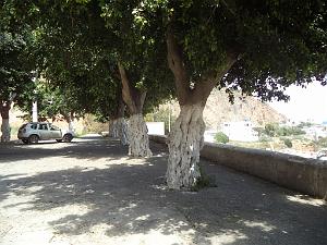 2018 05 VOYAGE A ORAN EN MAI 2018 (105)